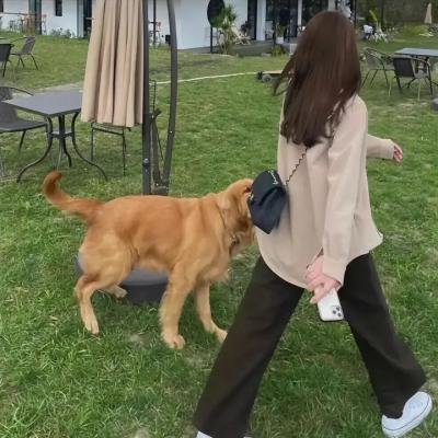 开膛手秘闻